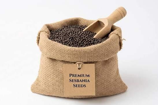 Sesbania seeds